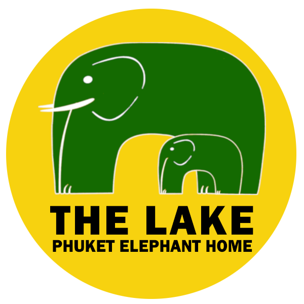 Phuket Elephant Home